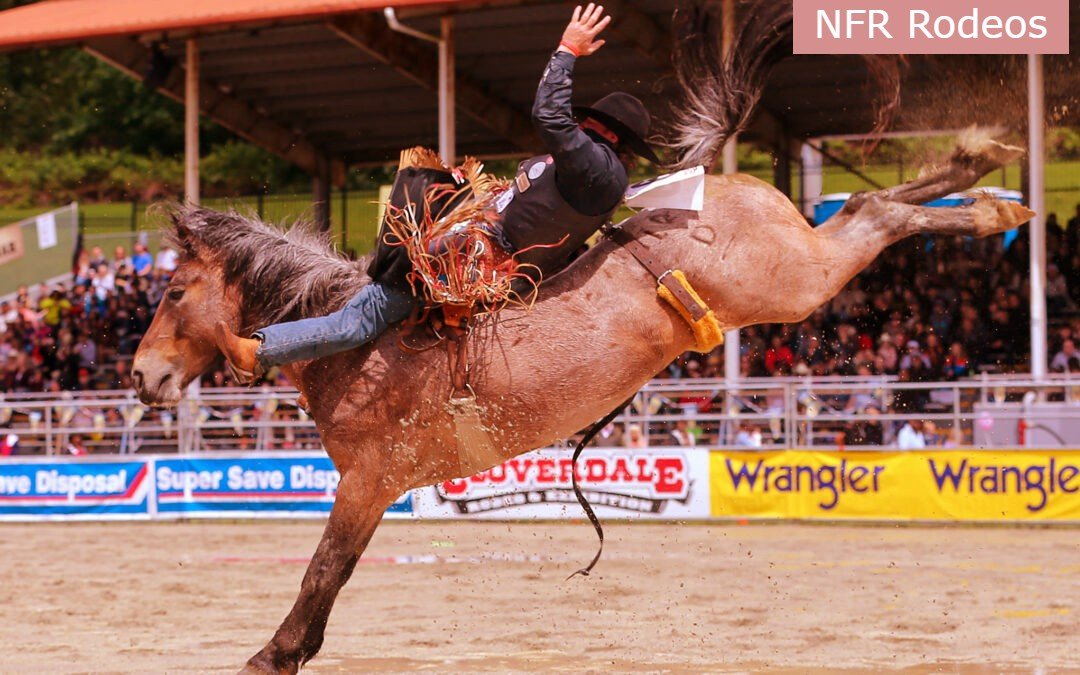 National Finals Rodeo Stream